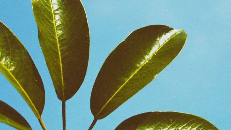 green energy financing